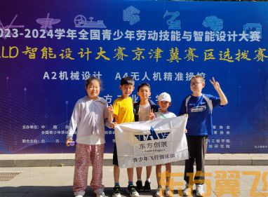 2023-2024学年全国青少年劳动技能与设计大赛-AILD智能设计大赛（京津冀赛区选拔赛）